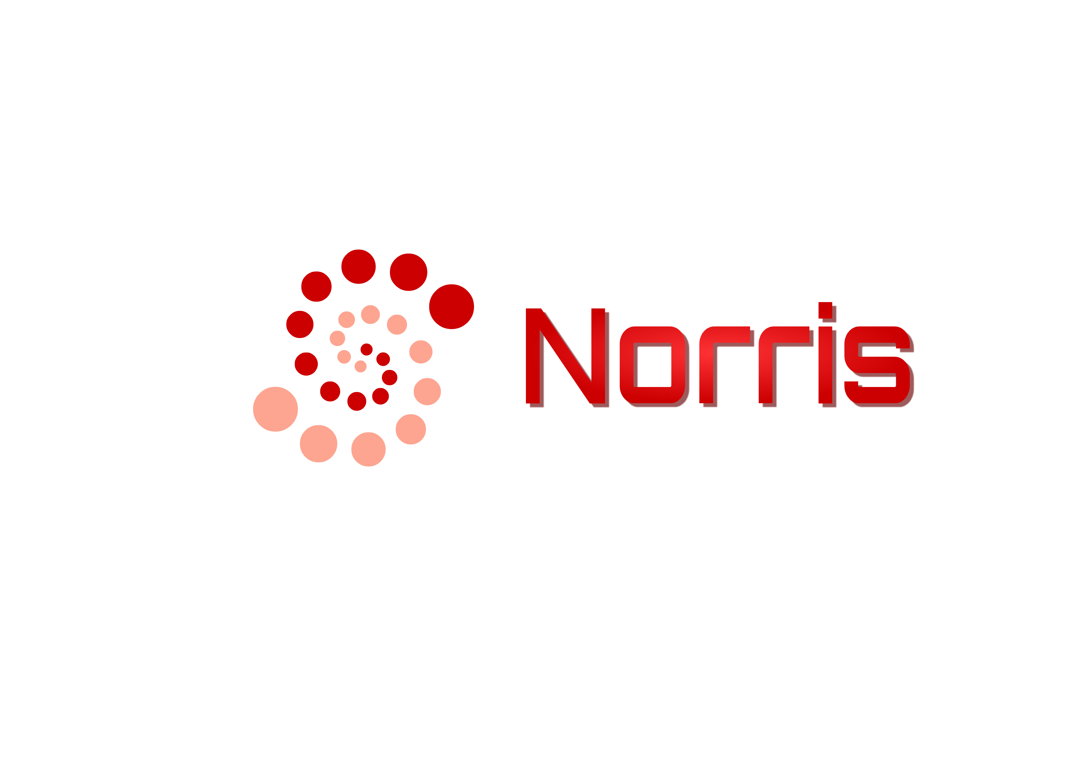 南京諾利斯醫藥科技有限公司logo