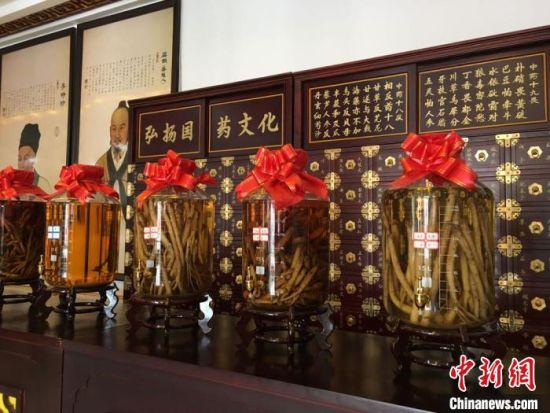 2020年6月，甘肅省定西市渭源縣田家河鄉元古堆村一家中藥材生產加工企業的藥材展示。 (資料圖) 張婧 攝